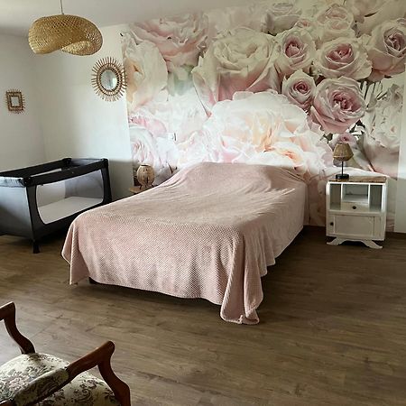 Chez Ghislaine Villa Saint-Appolinard  Dış mekan fotoğraf