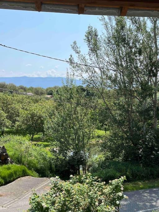 Chez Ghislaine Villa Saint-Appolinard  Dış mekan fotoğraf